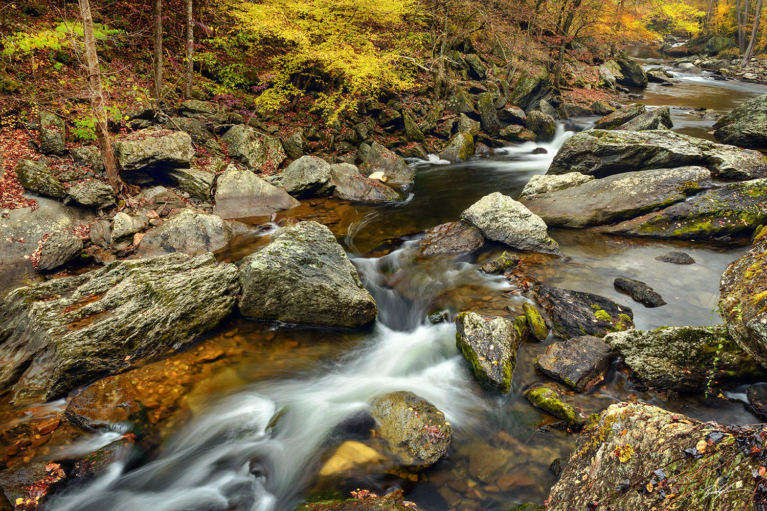 Autumn River Smoky Mountains National Park Tennessee