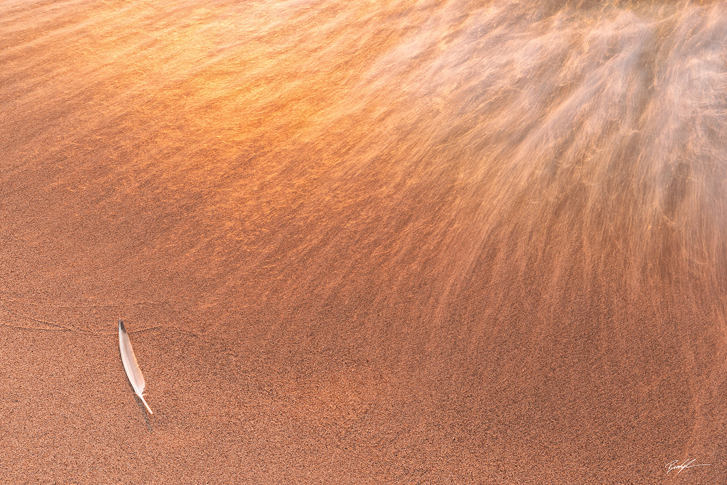 Wave Feather and Sunlight Lake Superior Michigan