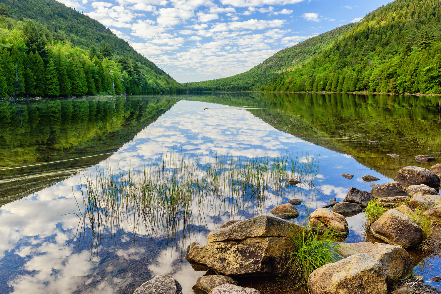 Bubble Pond Acadia National Park Maine