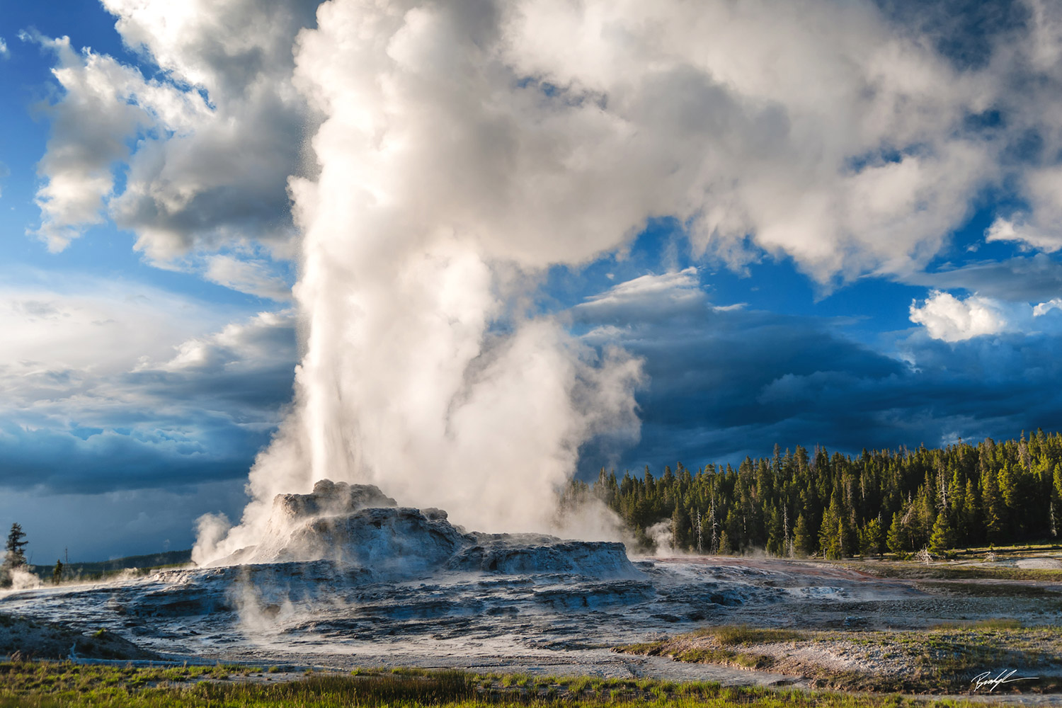 Castle Geyser Yellowstone National Park Wyoming