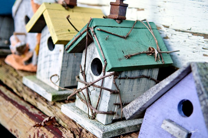 handmade bird houses