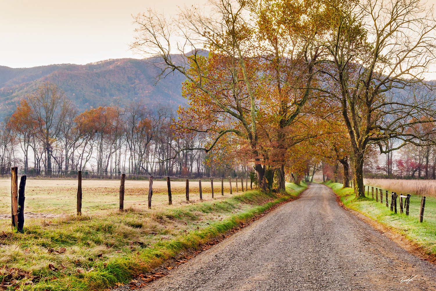 Rural Landscapes Brady Kesner Photography