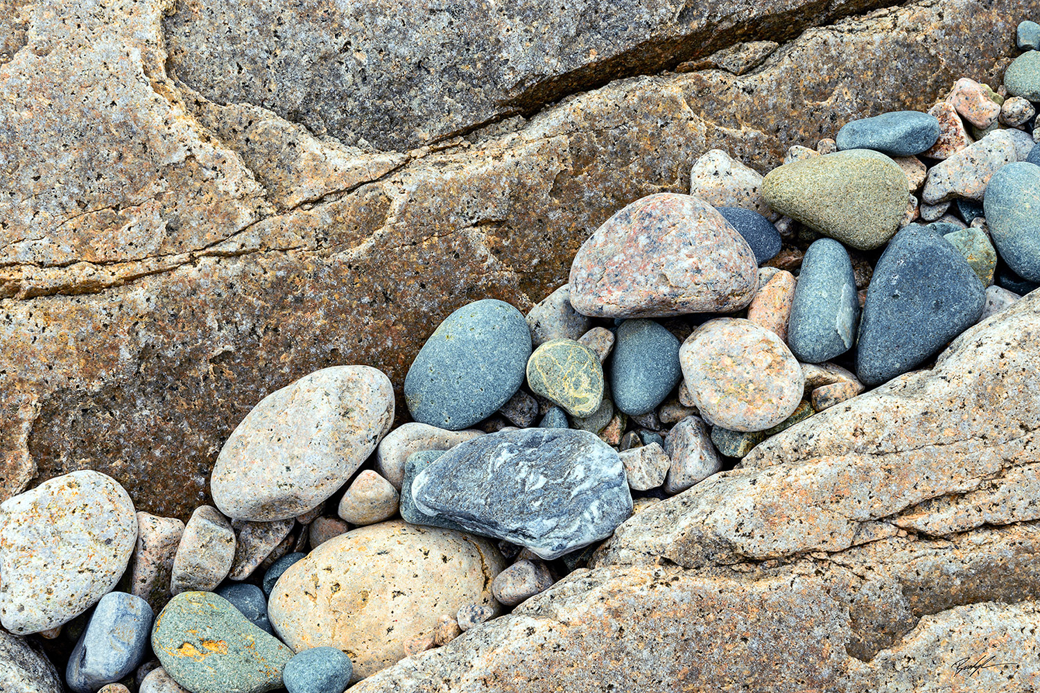 Shoreline Rocks Schoodic Peninsula Maine
