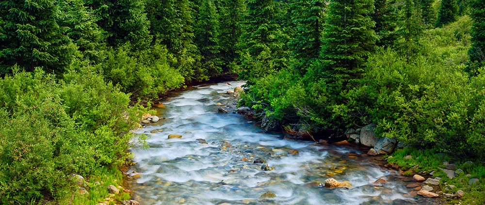 Winding River San Juan Mountains Colorado