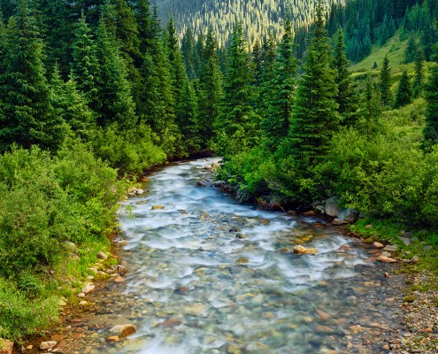 Winding River San Juan Mountains Colorado