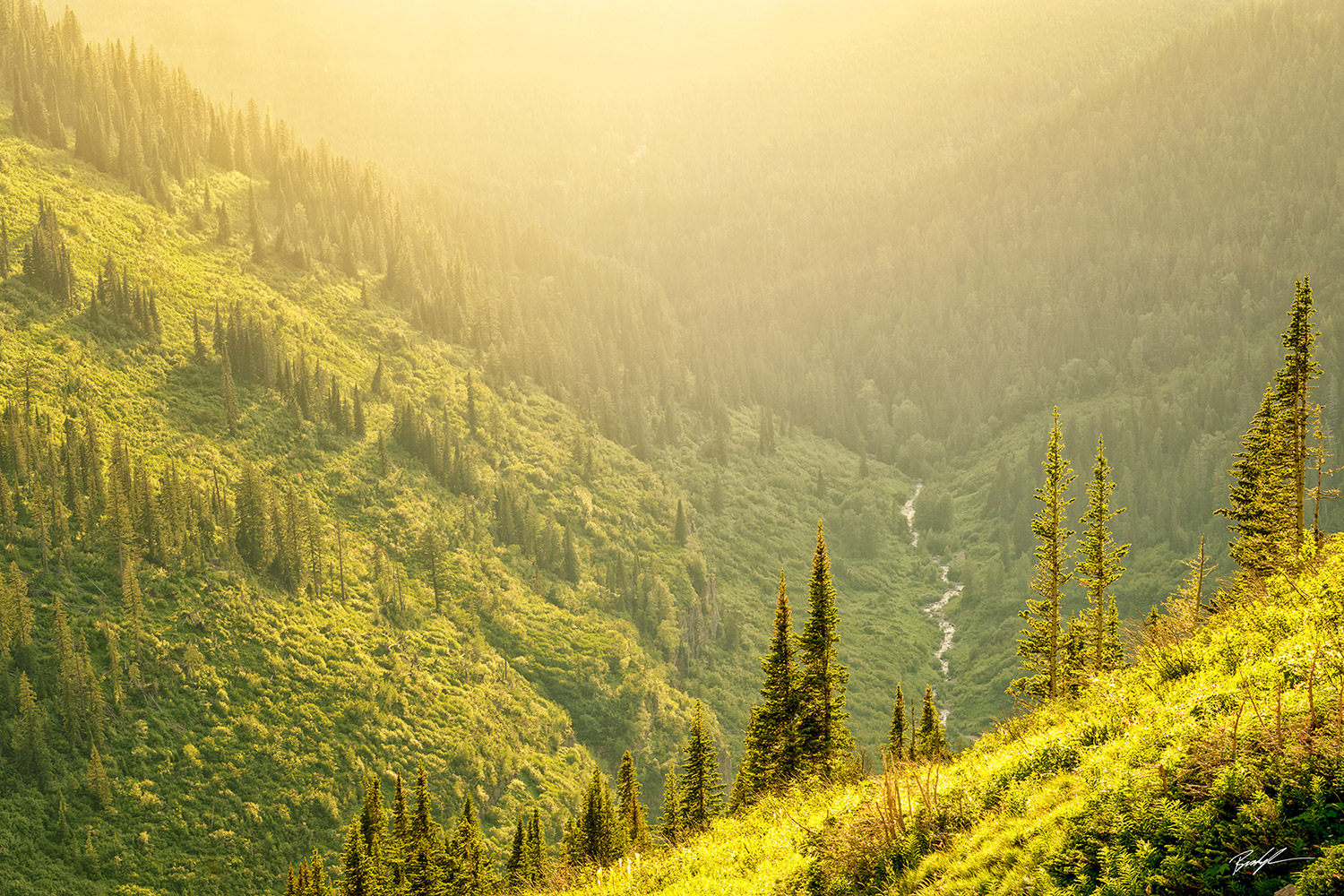 Sunlit Valley Glacier National Park Montana