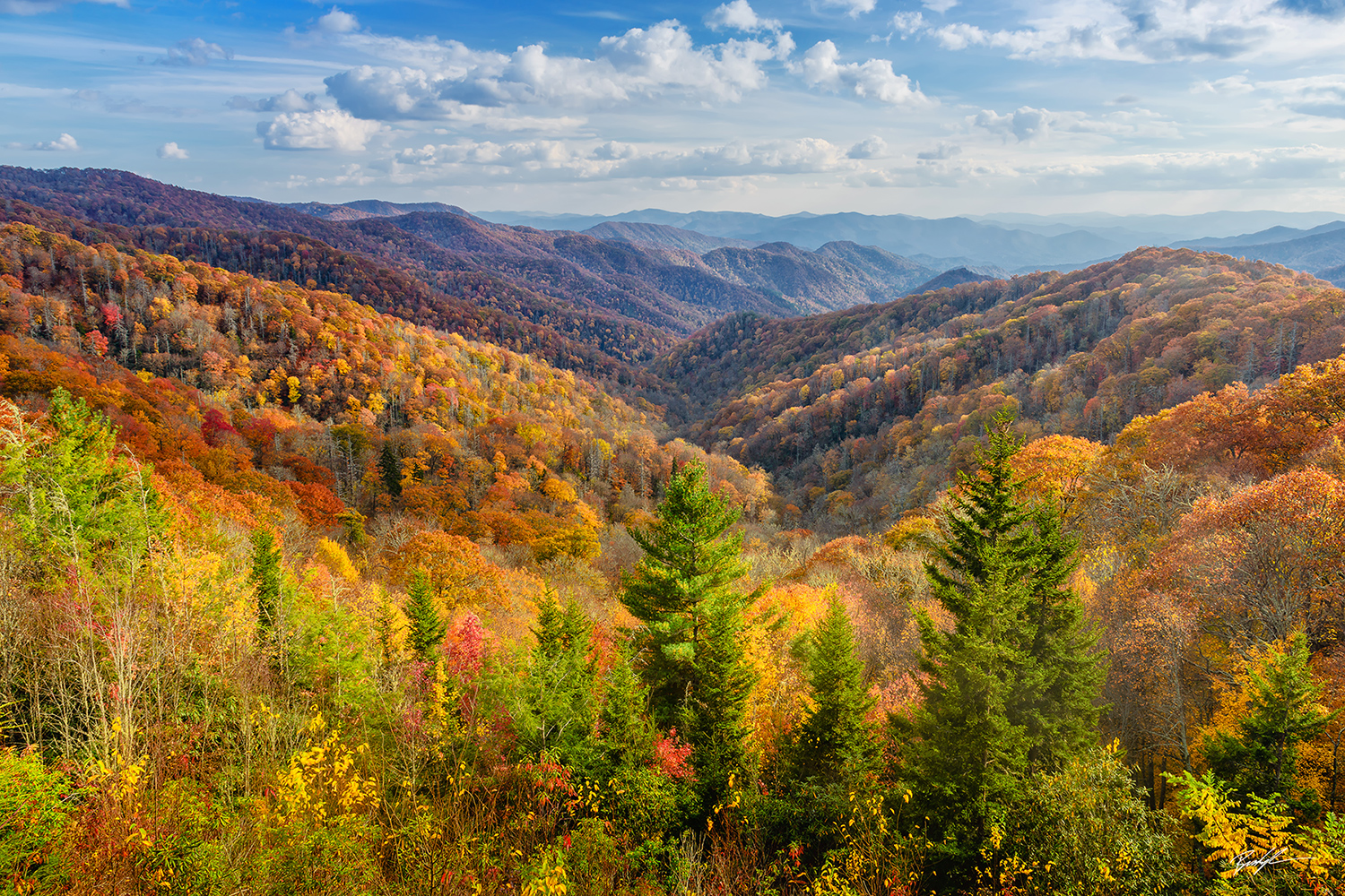 Autumn Foliage and Mountains Smoky Mountain National Park Tennessee