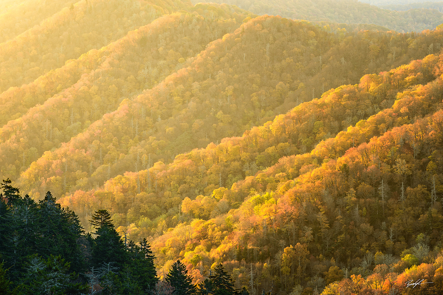 Sunrise Newfound Gap Smoky Mountain National Park Tennessee