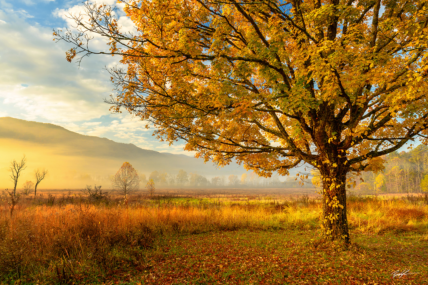 Golden Light, Cades Cove, Smoky Mountain National Park, Tennessee