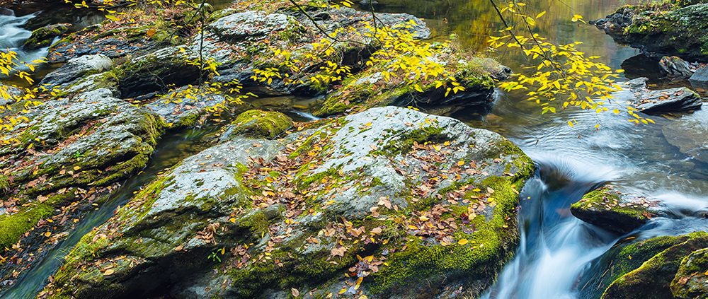 Little River Smoky Mountain National Park Tennessee