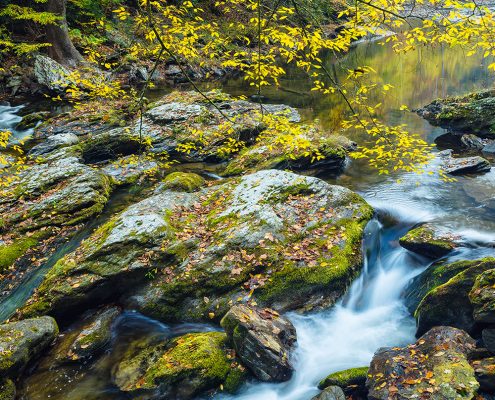 Little River Smoky Mountain National Park Tennessee