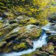 Little River Smoky Mountain National Park Tennessee