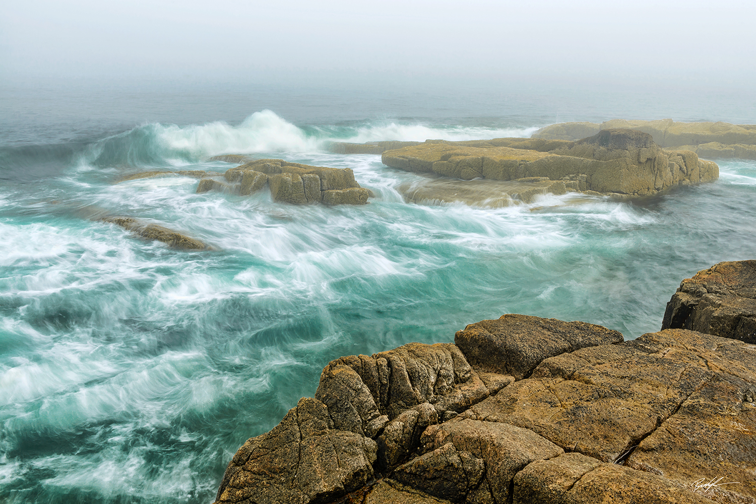 Schoodic Peninsula Fog Acadia National Park Maine