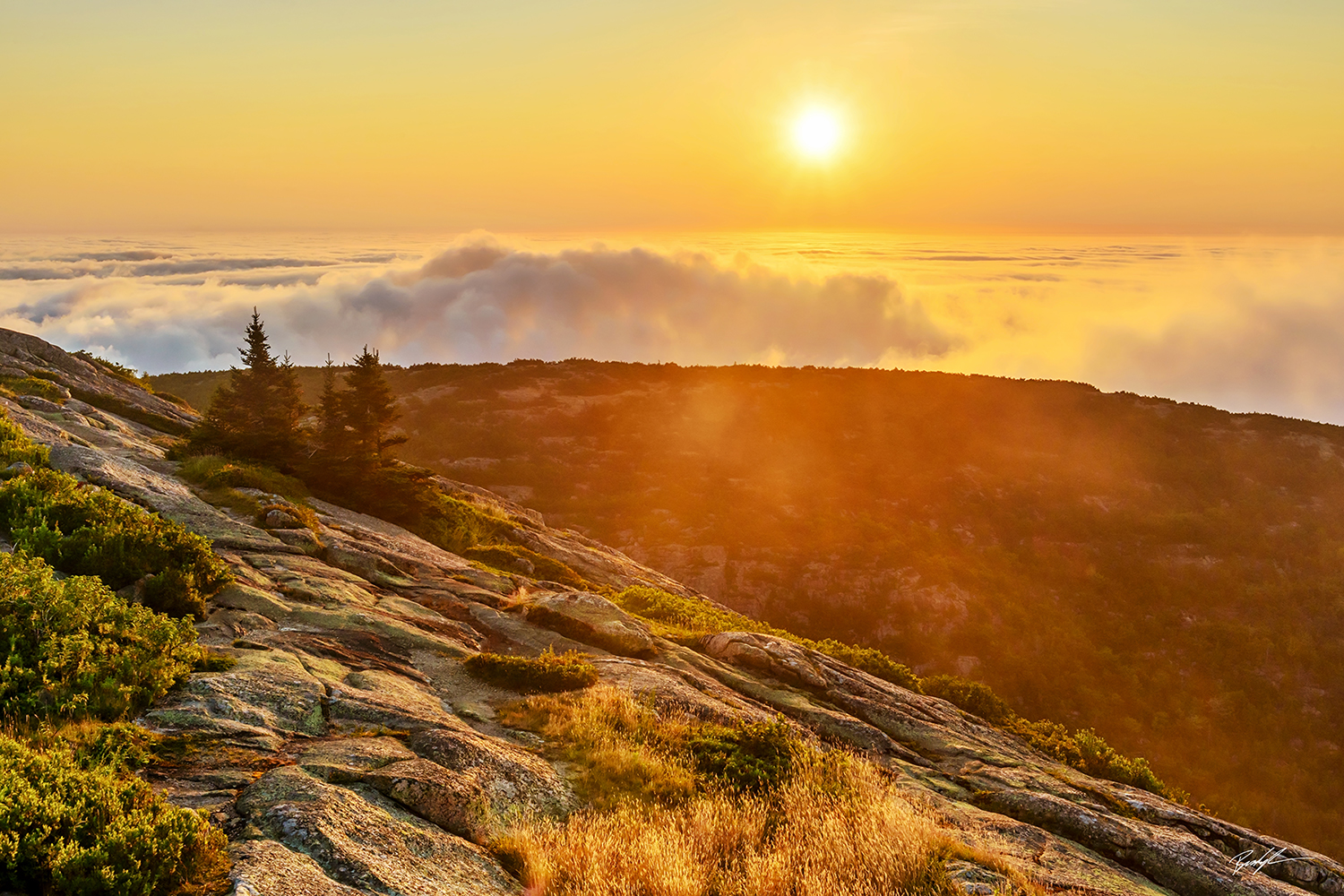 Cadillac Mountain Sunrise Acadia National Park Maine