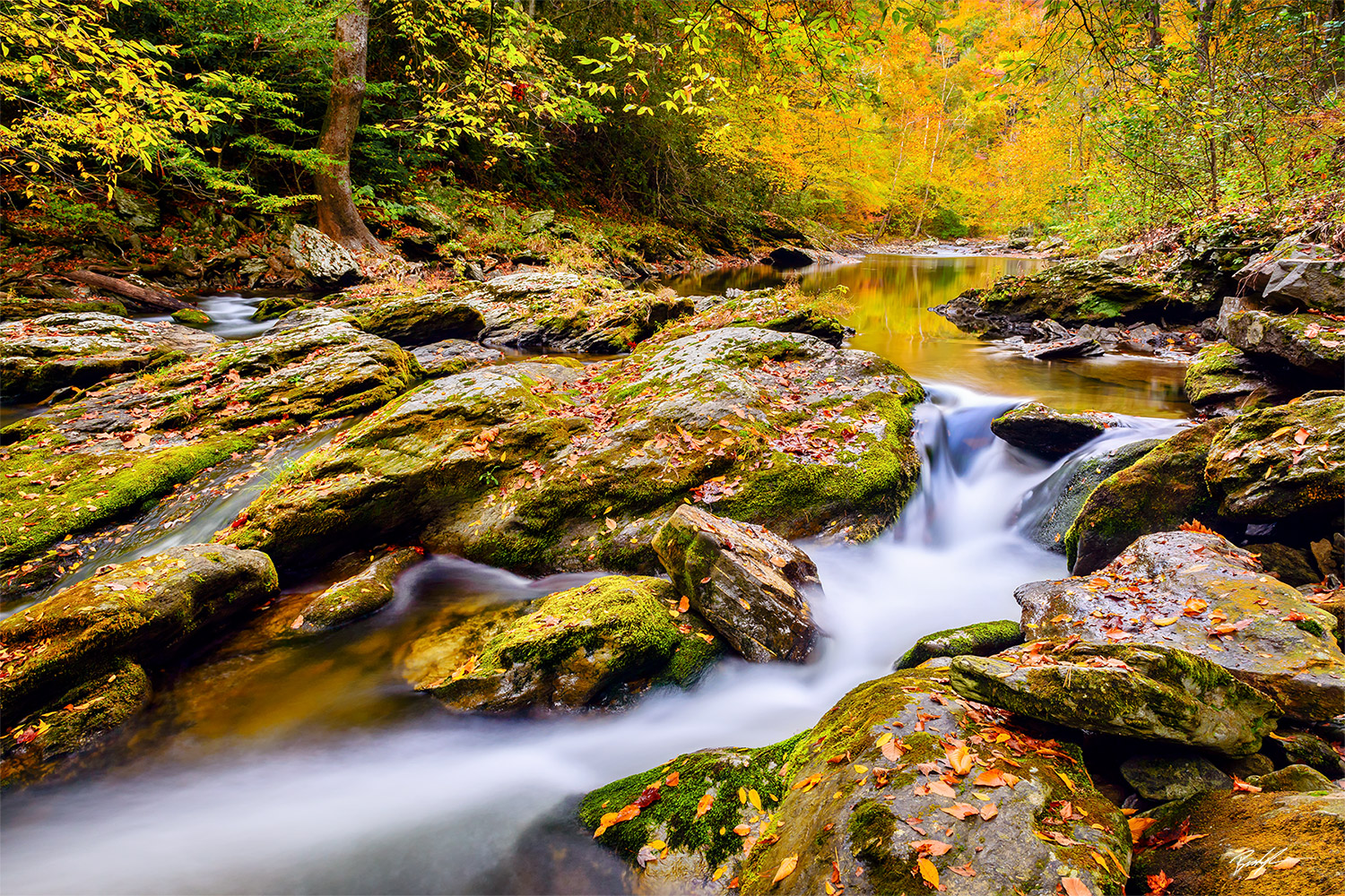 Little River Smoky Mountain National Park Tennessee