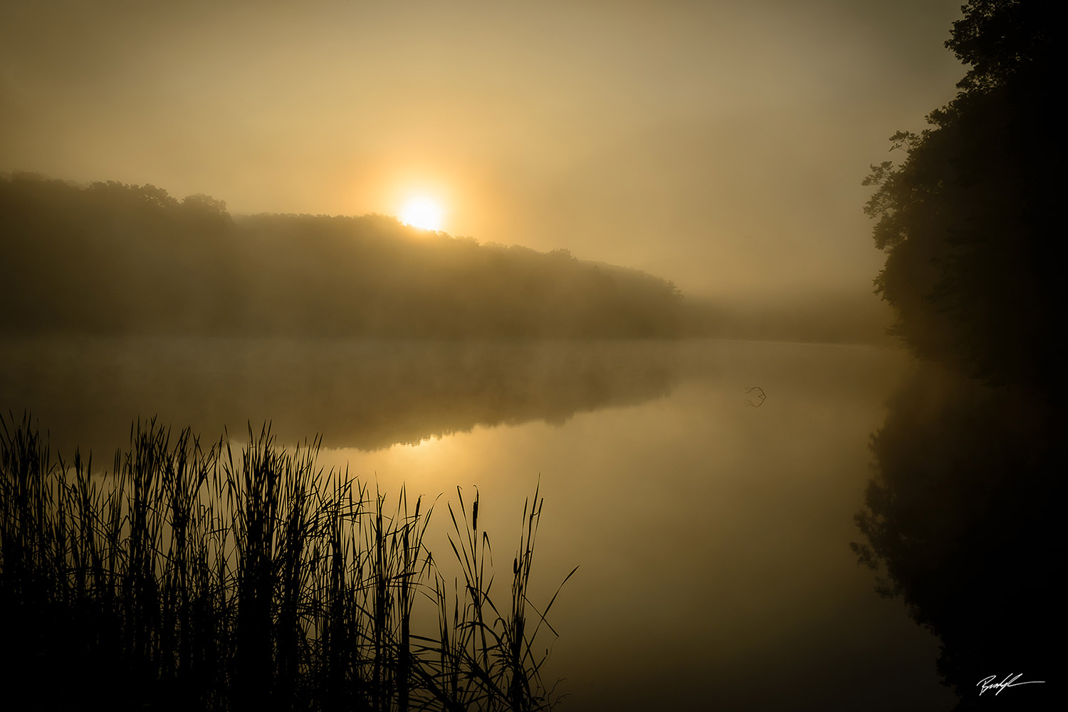 Golden Sunrise Ogle Lake Brown County Indiana