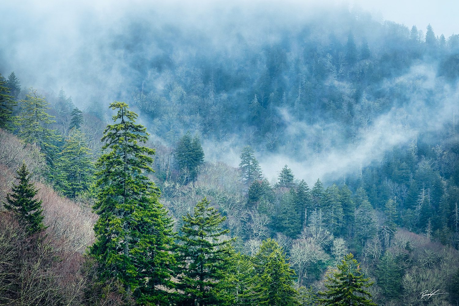 Fog and Storm Great Smoky Mountain National Park Tennessee