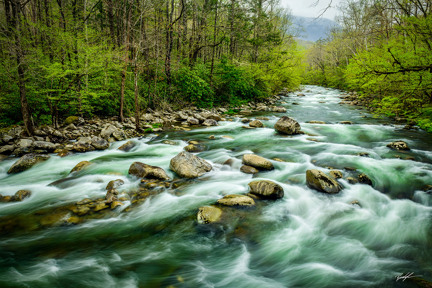 Greenbrier Little Pigeon River Smoky Mountains National Park Tennessee