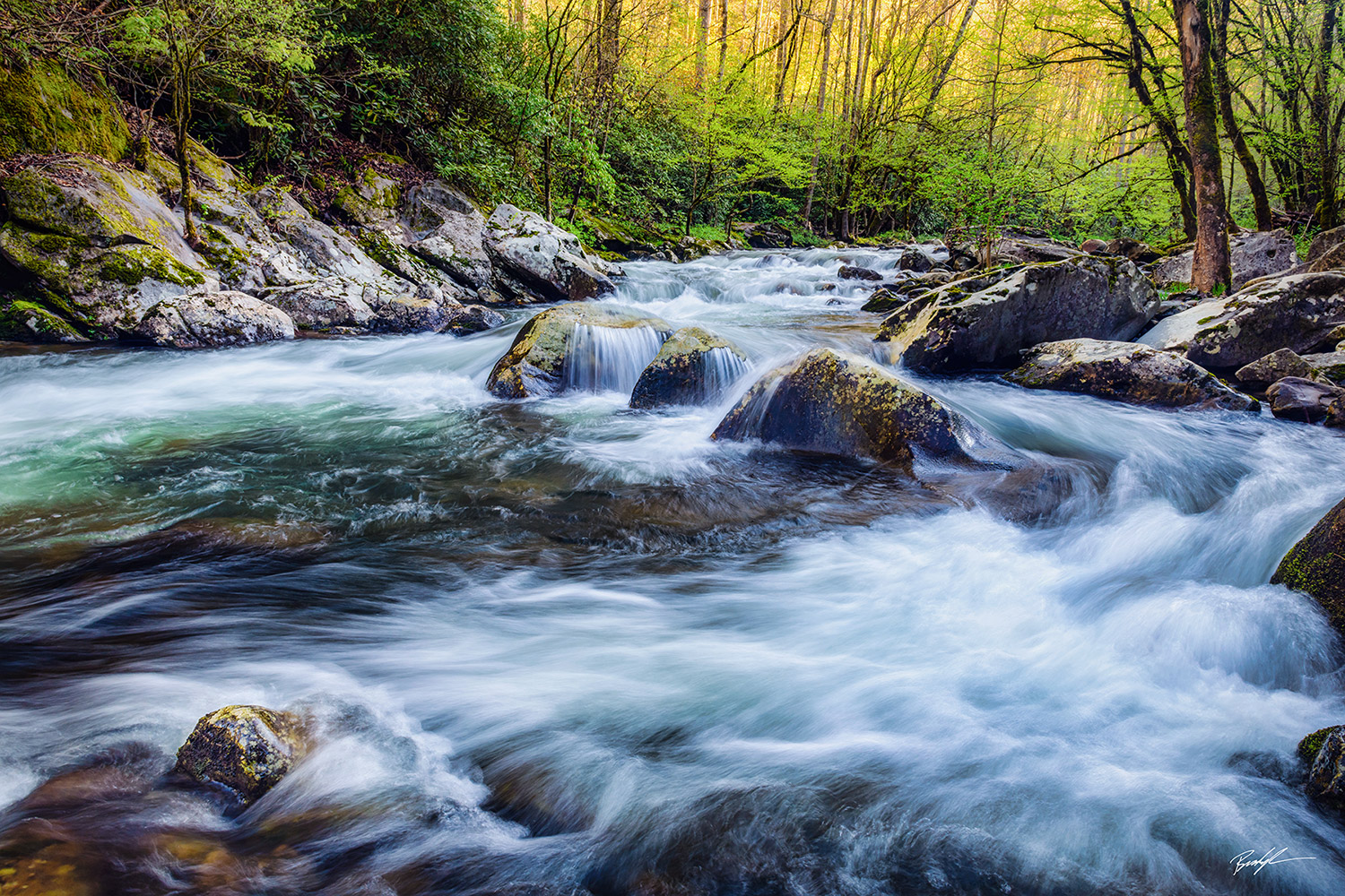 Middle Prong Little River Great Smoky Mountain National Park