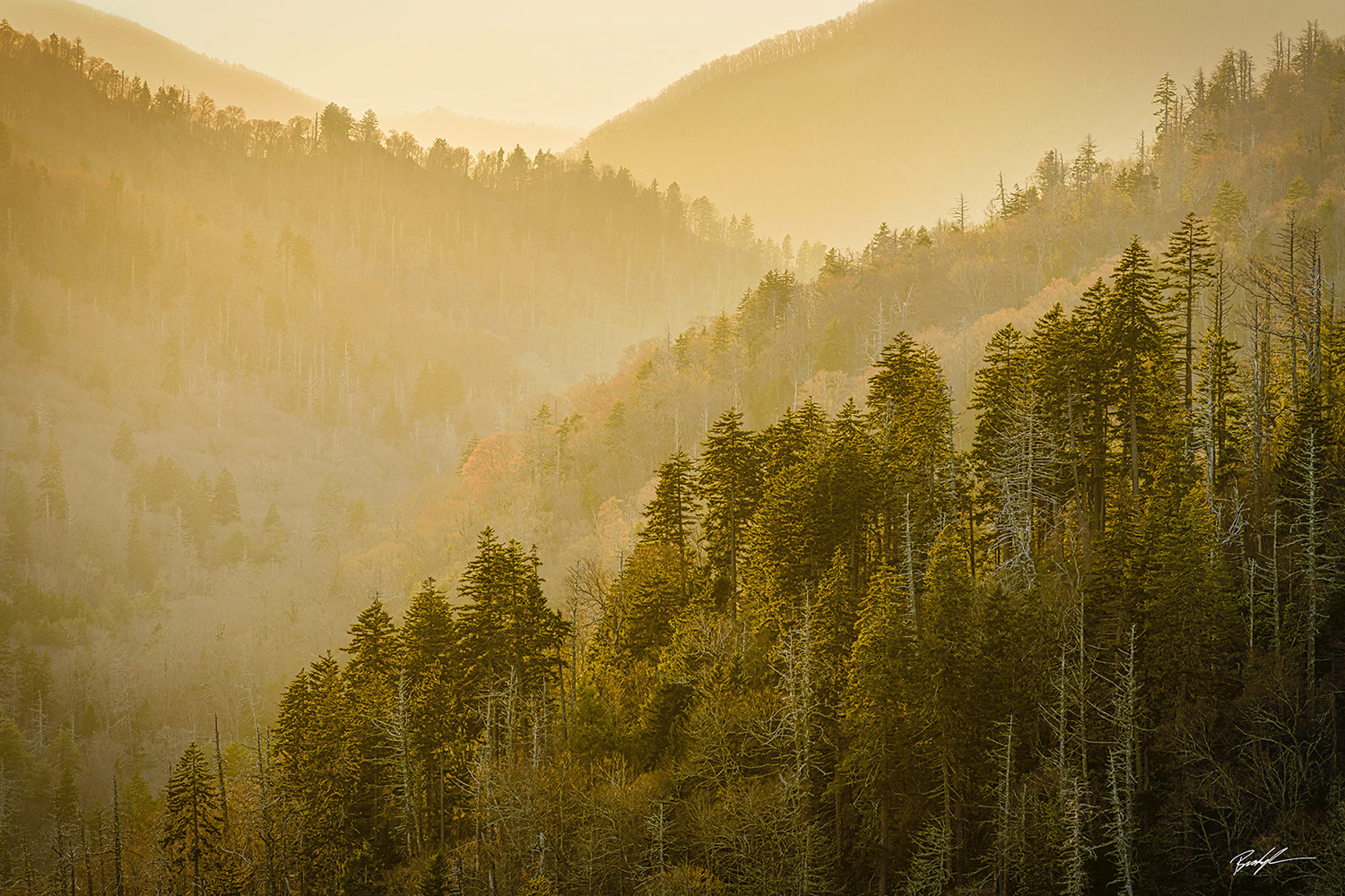 Morton Overlook Great Smoky Mountain National Park Tennessee