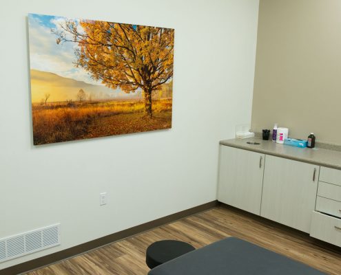 Nature Photography Medical Facility Decor