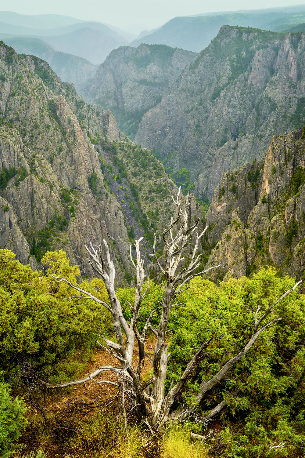 Tomichi Point Black Canyon of the Gunnison National Park