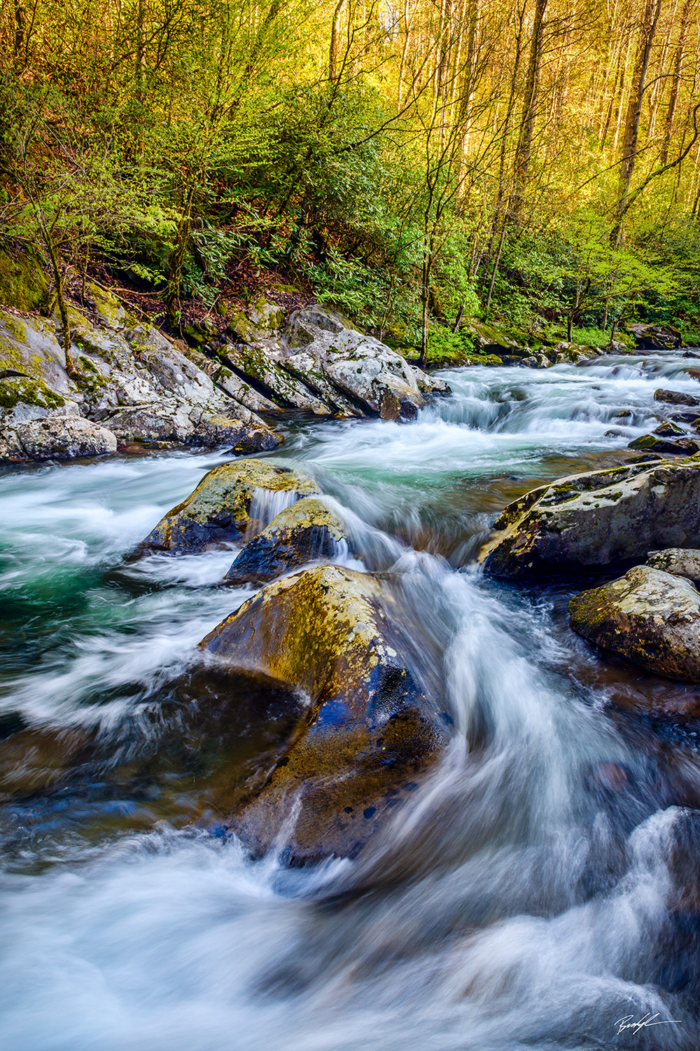 Middle Prong Little River Smoky Mountain National Park Tennessee