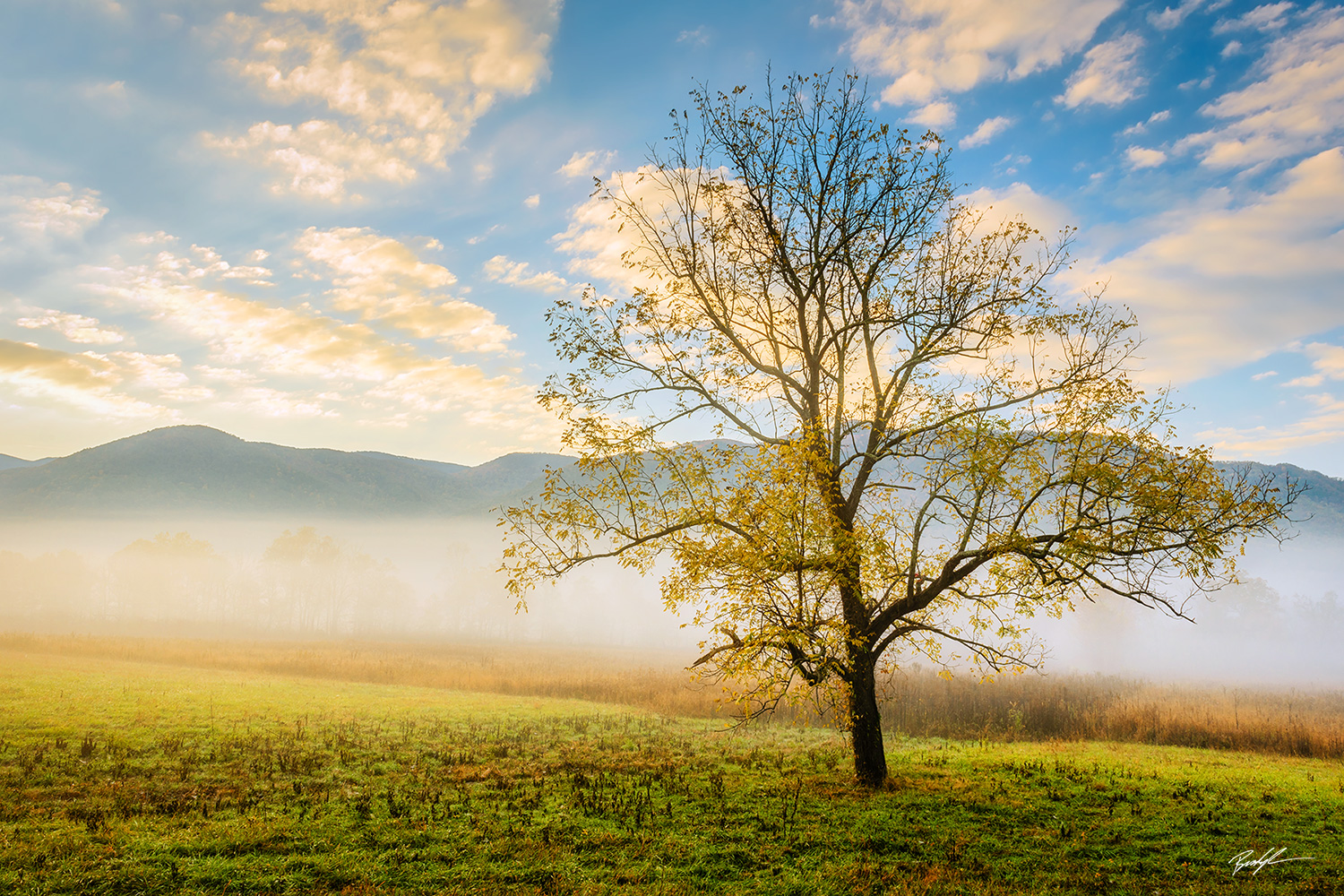 Cades Cove Smoky Mountain National Park Tennessee