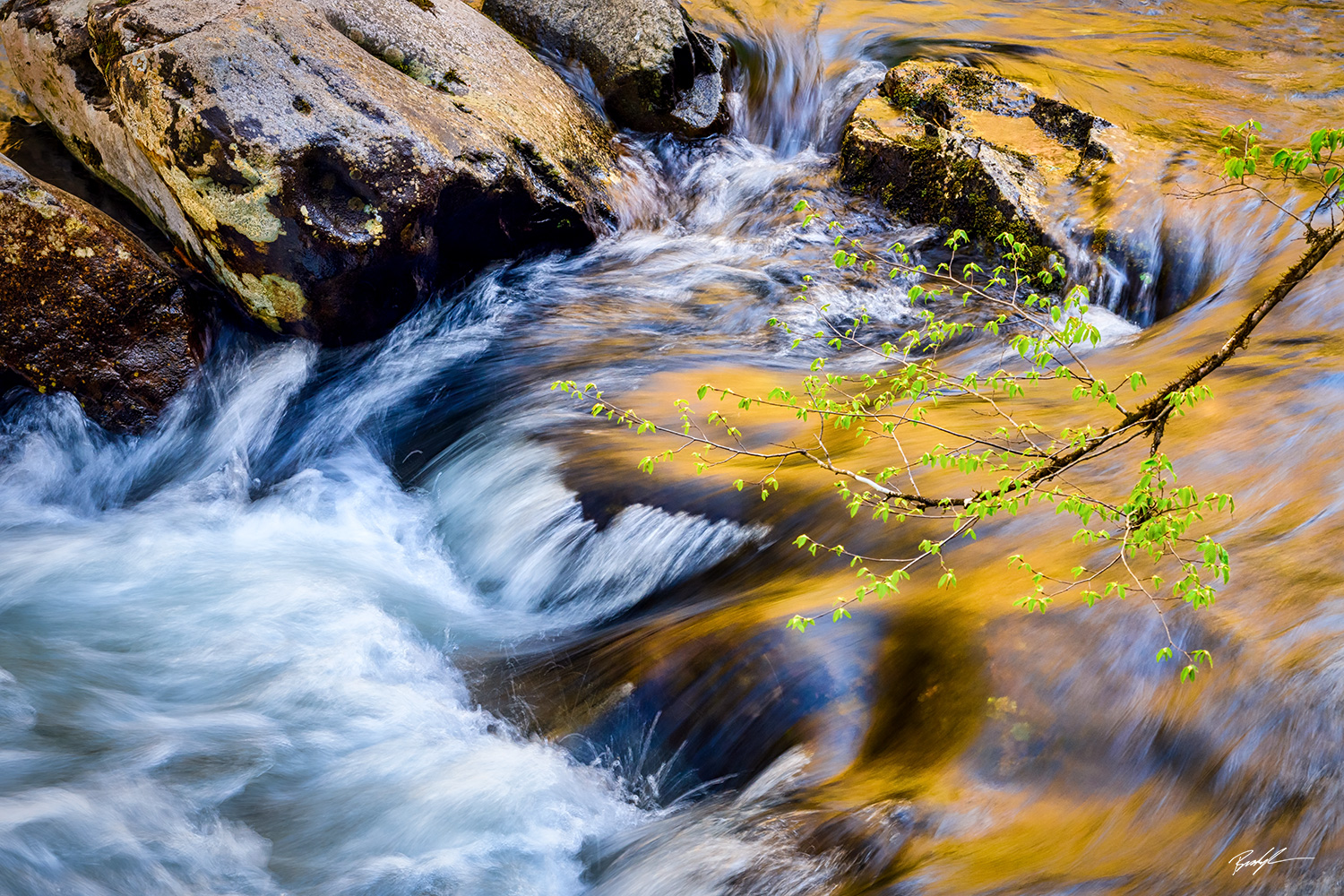 Smoky Mountain National River Reflection