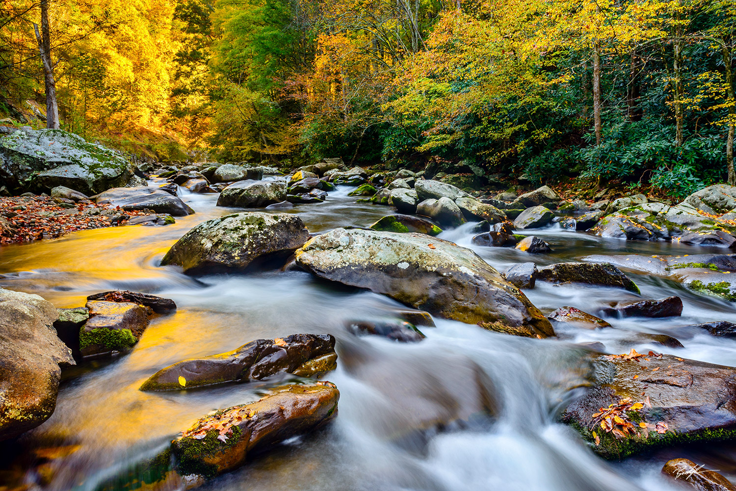 Autumn River Reflection Smoky Mountain National Park Tennessee