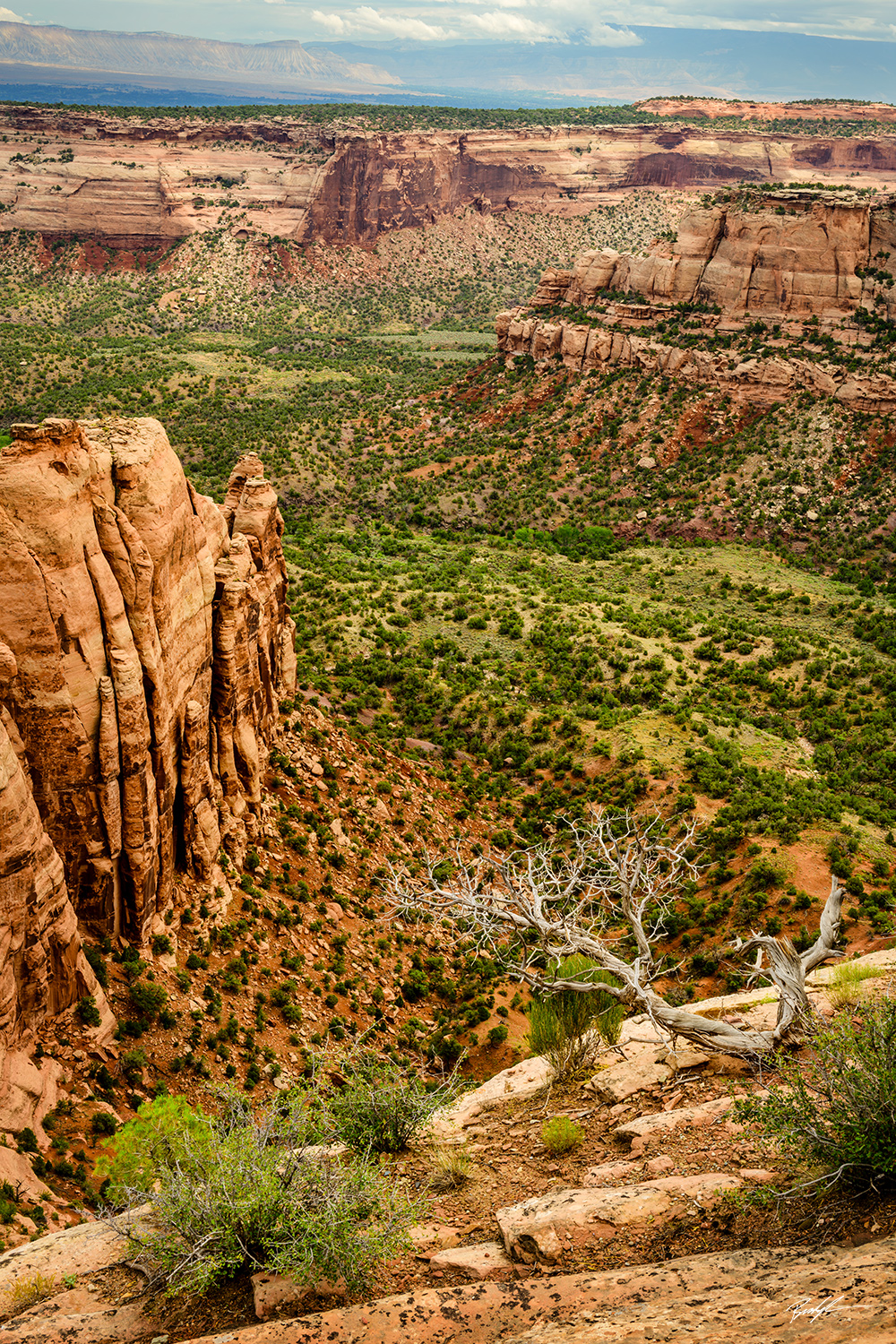 Colorado National Monument Colorado