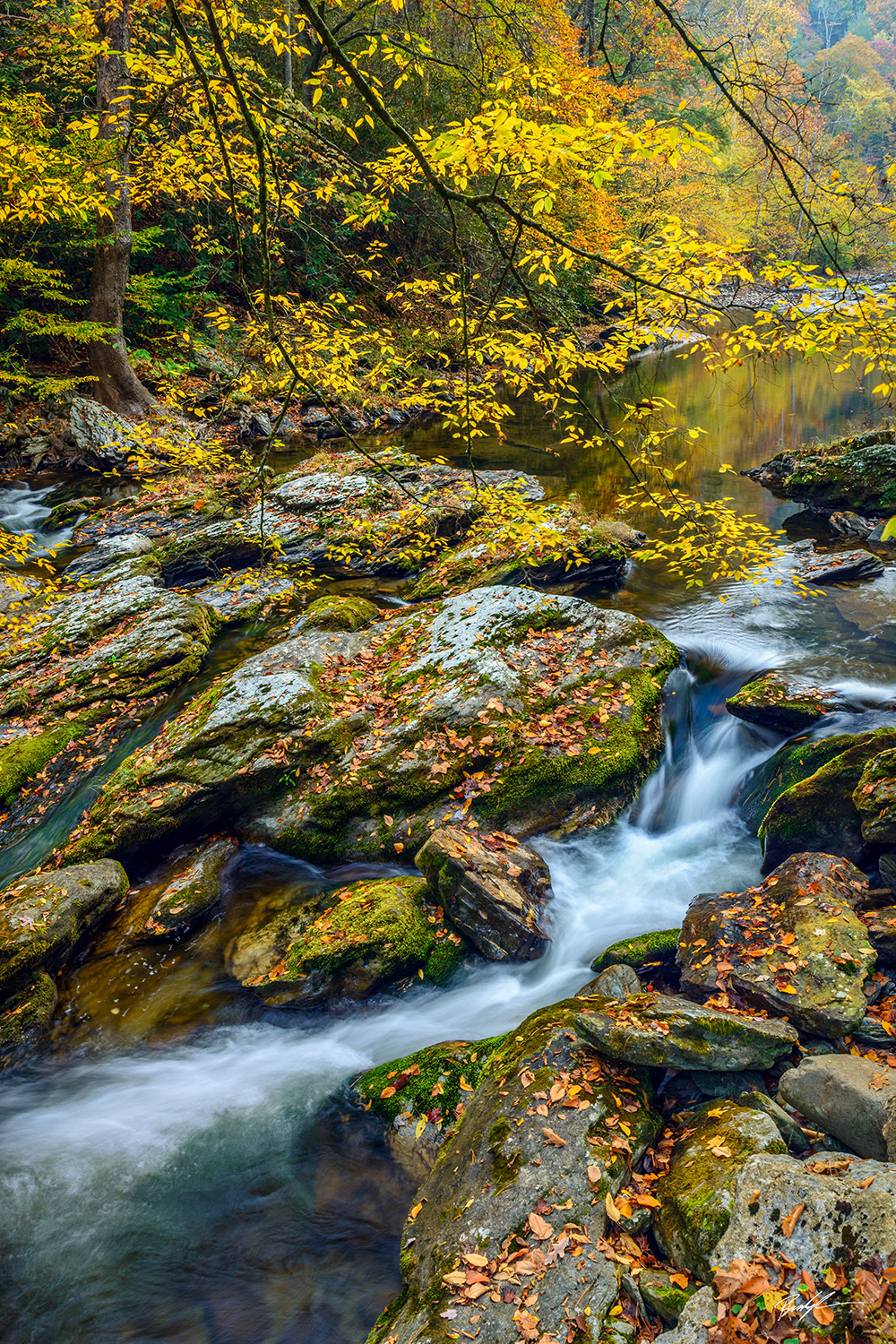 Little River Smoky Mountain National Park Tennessee