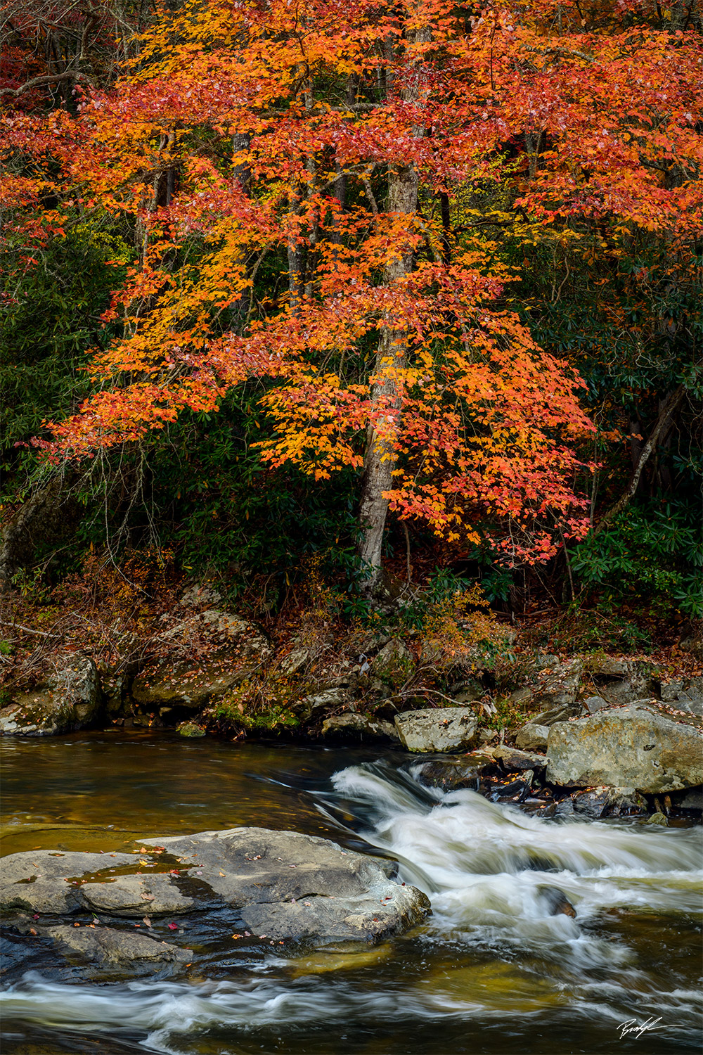 Linville River Blue Ridge Parkway North Carolina