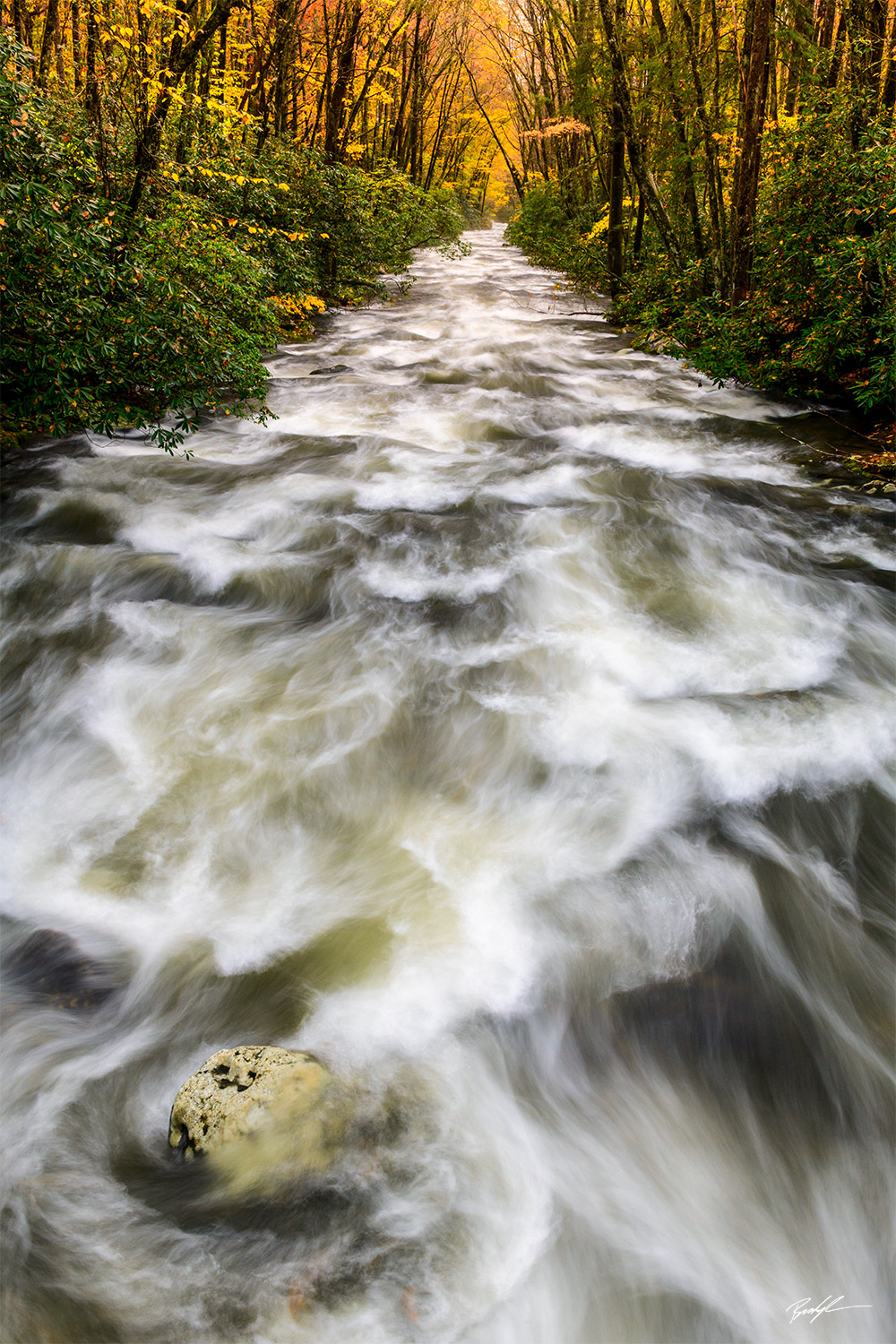 Oconaluftee River Smoky Mountain National Park Tennessee