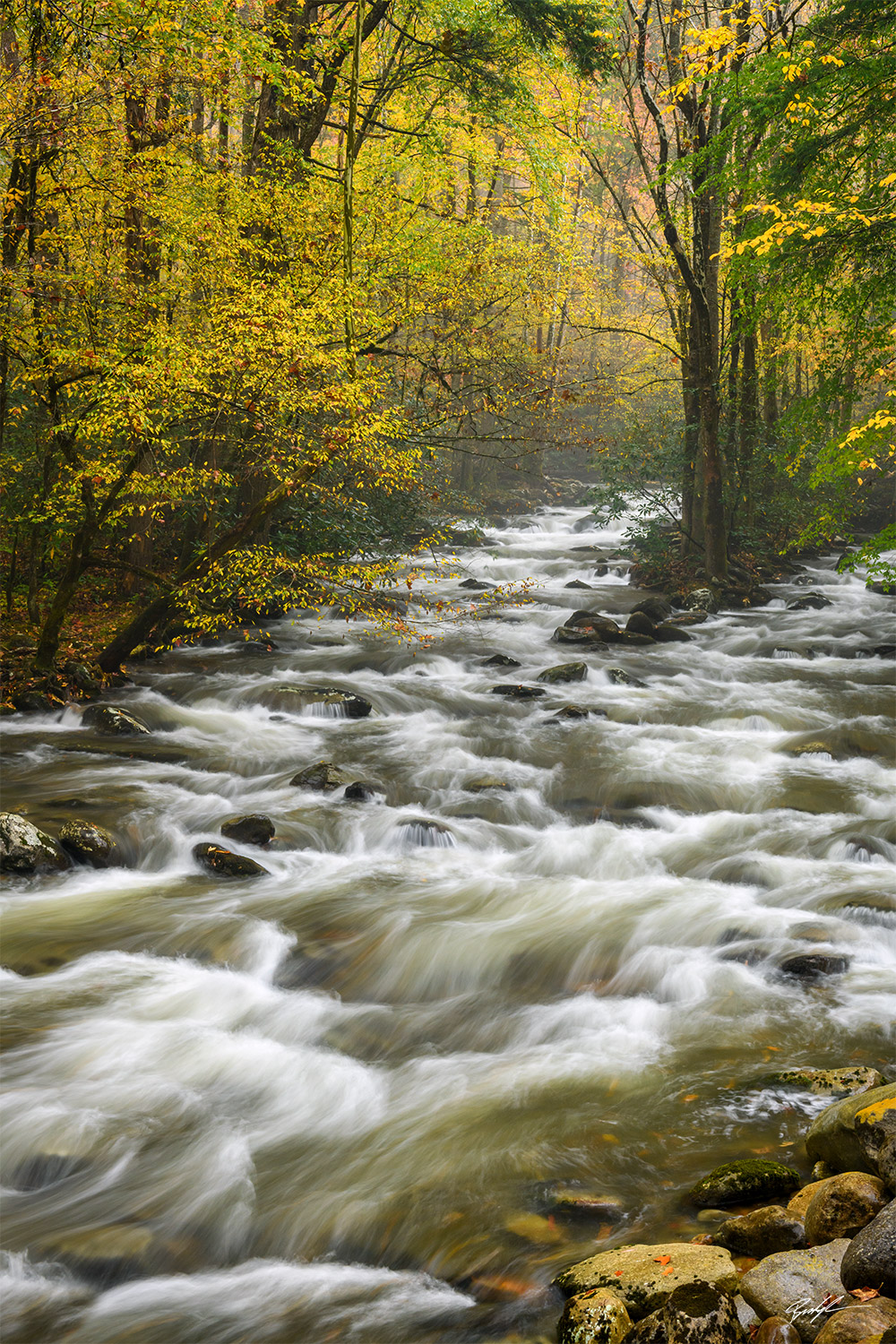 Smoky Mountain National Park Greenbrier Autumn Tennessee