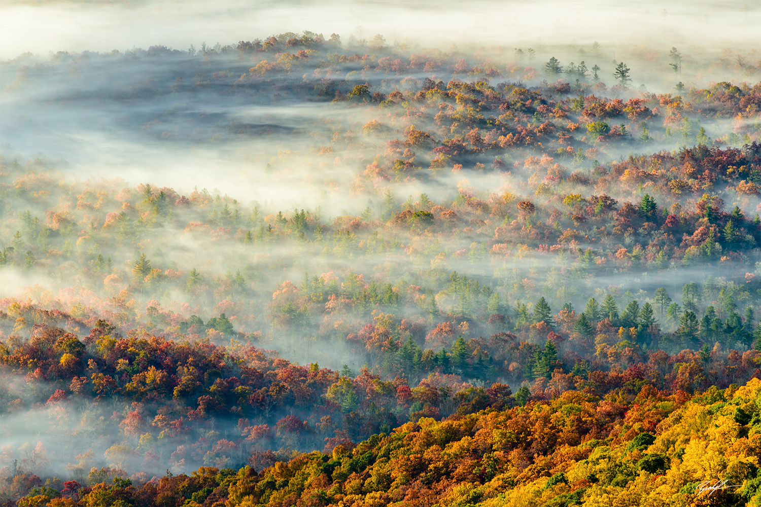 Fog Valley Blue Ridge Parkway North Carolina