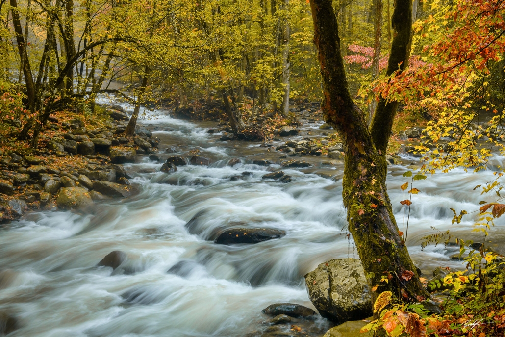 Greenbrier Smoky Mountain National Park Tennessee