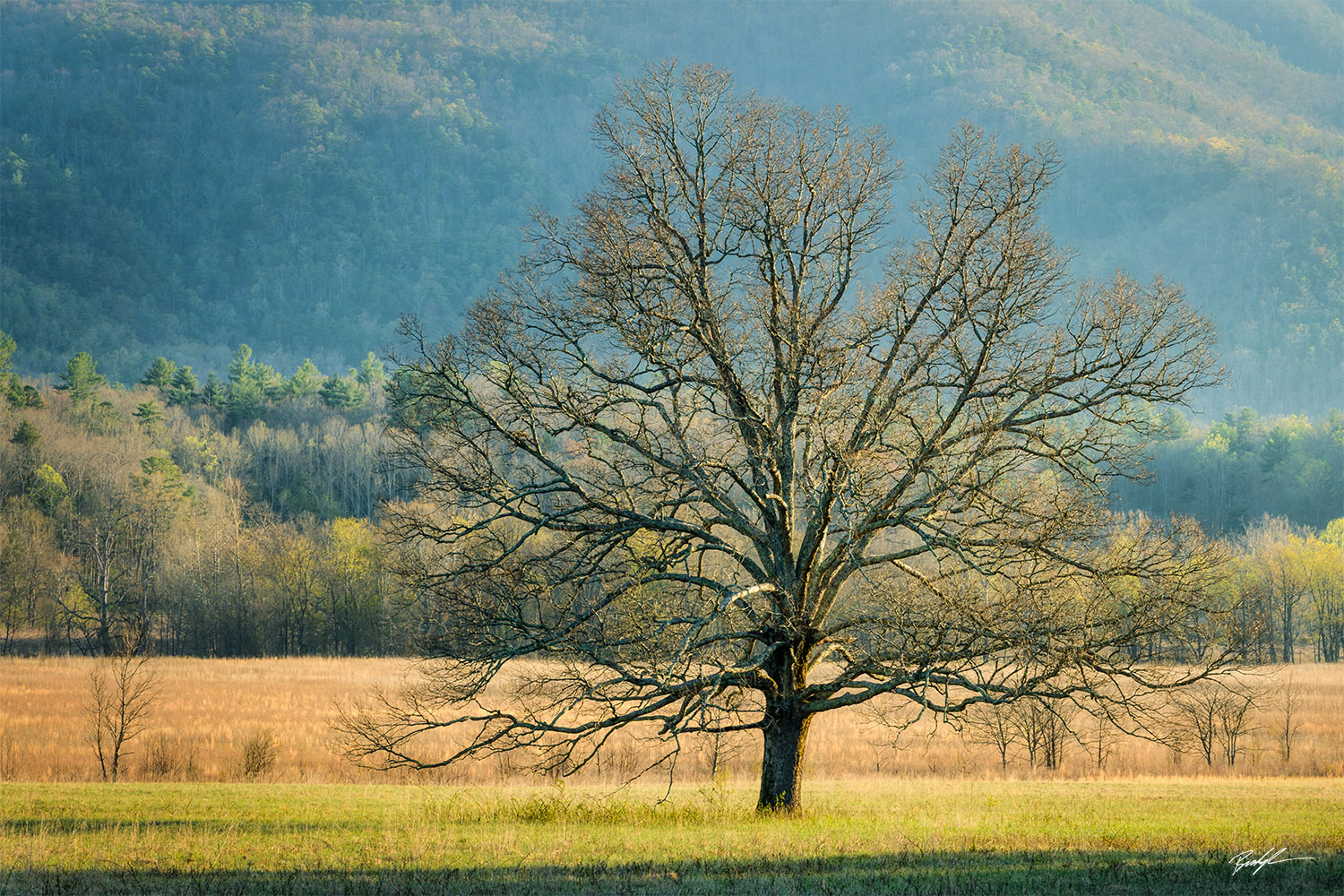 Cades Cove Smoky Mountain National Park Tennessee