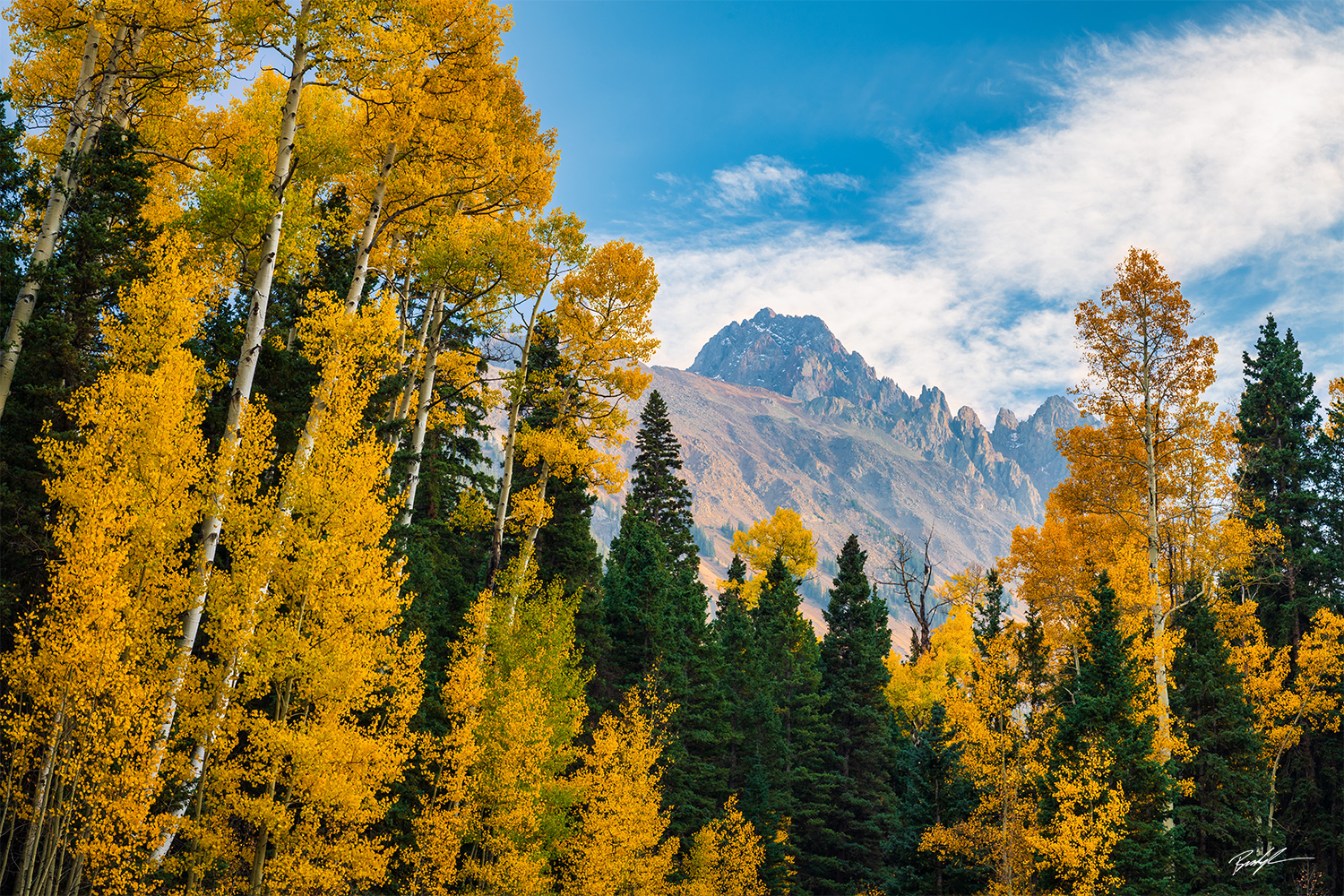 Aspens, Cimarron Range, Colorado