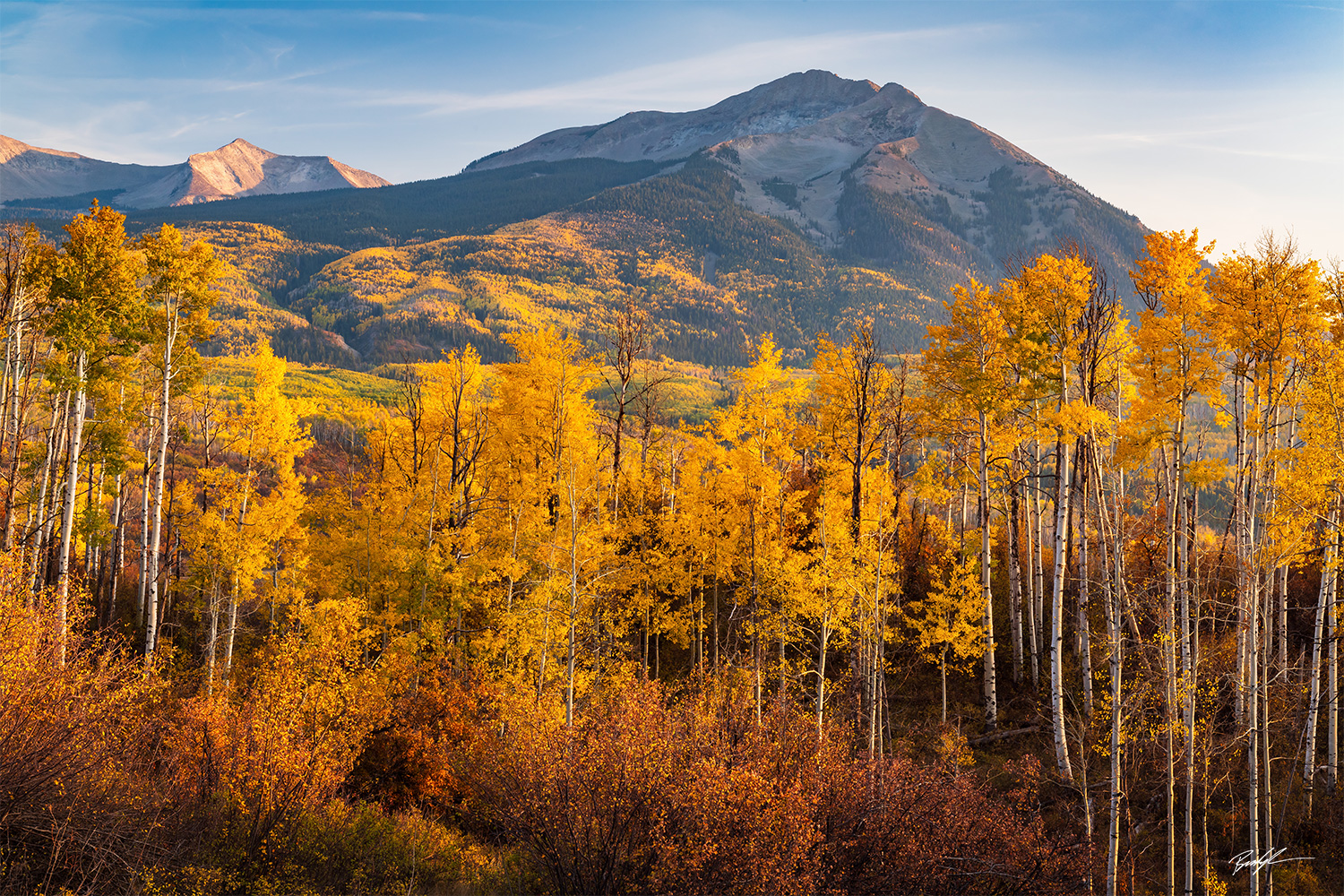 Aspens Cimarron Range Colorado