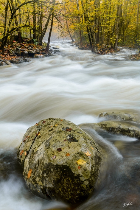 #W101 – Greenbrier Little Pigeon River Smoky Mountain National Park Tennessee Greenbrier Little Pigeon River Smoky Mountain National Park Tennessee