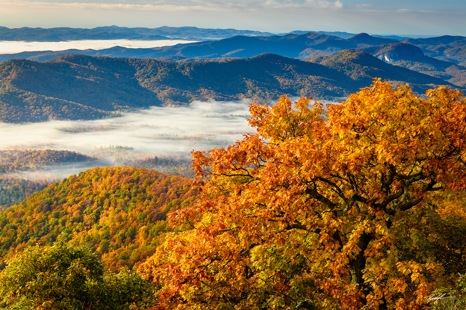 Morning Mist, Blue Ridge Parkway, North Carolina