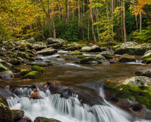 Little River, Smoky Mountain National Park, Tennessee