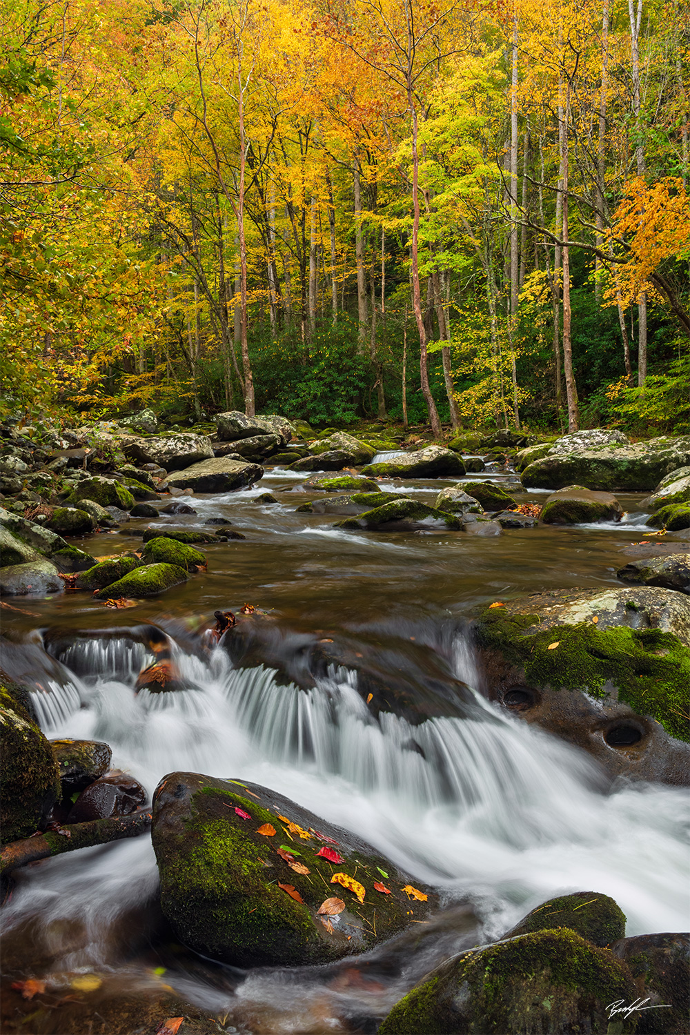 Little River, Smoky Mountain National Park, Tennessee