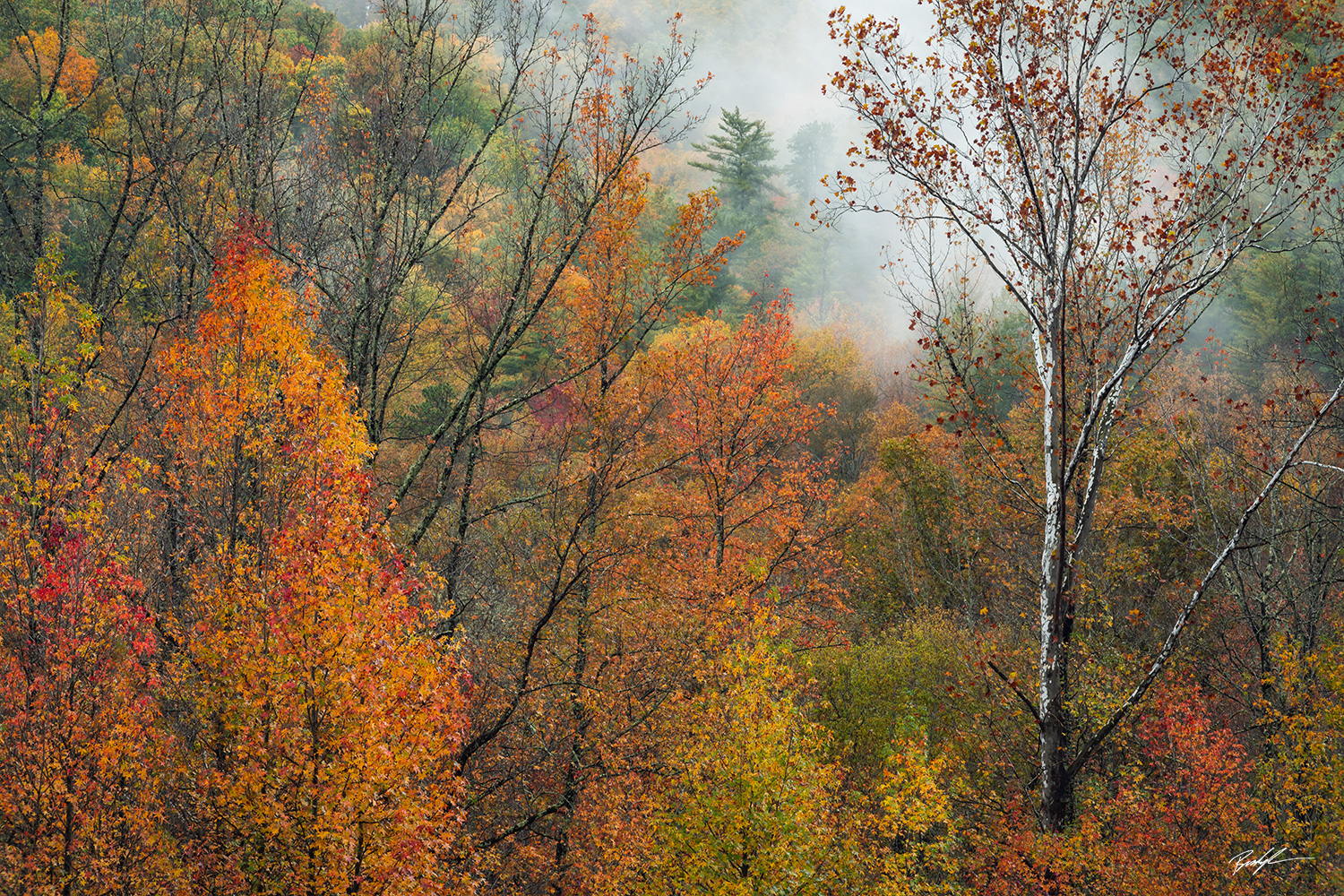 Cades Cove, Smoky Mountain National Park, Tennessee