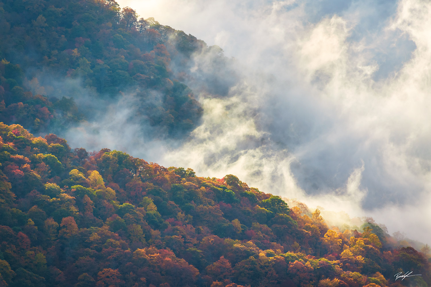 Autumn Blue Ridge Parkway North Carolina