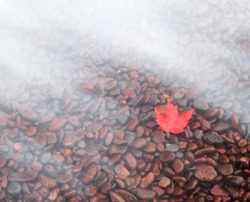 Leaf Wave Lake Superior Copper Harbor Michigan