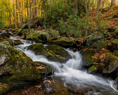 Little River Smoky Mountain National Park Tennessee