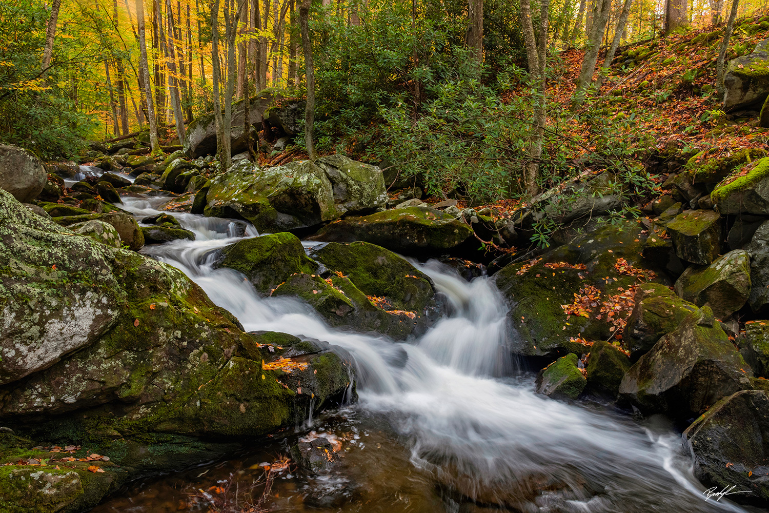 Little River Smoky Mountain National Park Tennessee