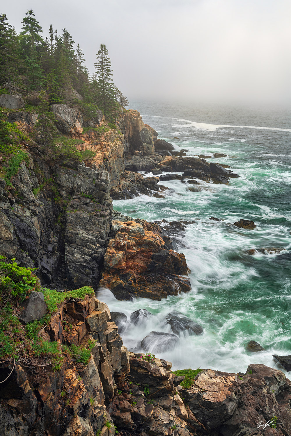 Acadia National Park Shoreline Fog Maine